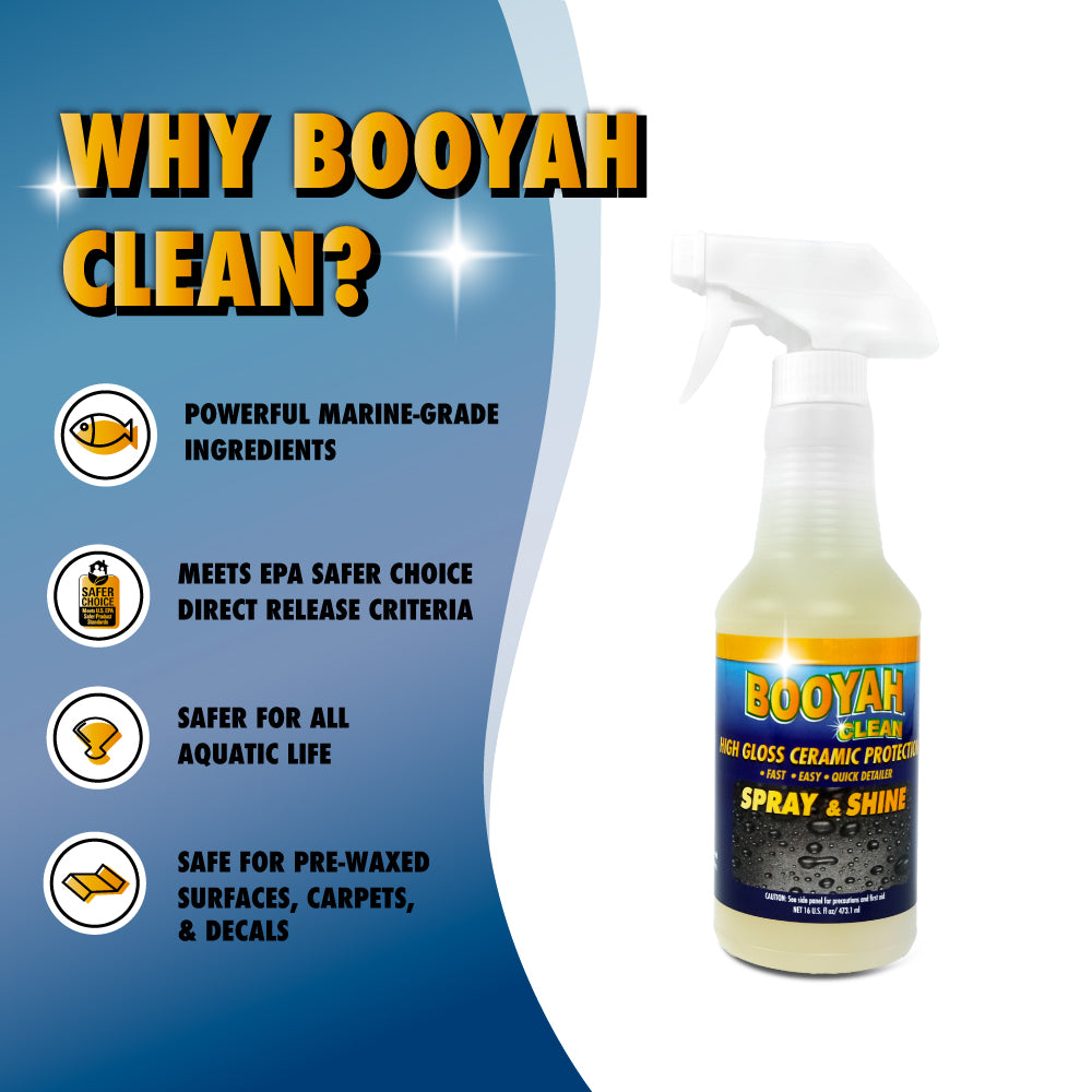 CERAMIC SPRAY & SHINE