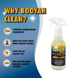 CERAMIC SPRAY & SHINE