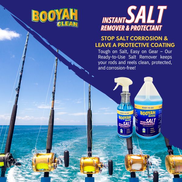 INSTANT SALT REMOVER & PROTECTANT – Ready-To-Use – Booyah Clean®