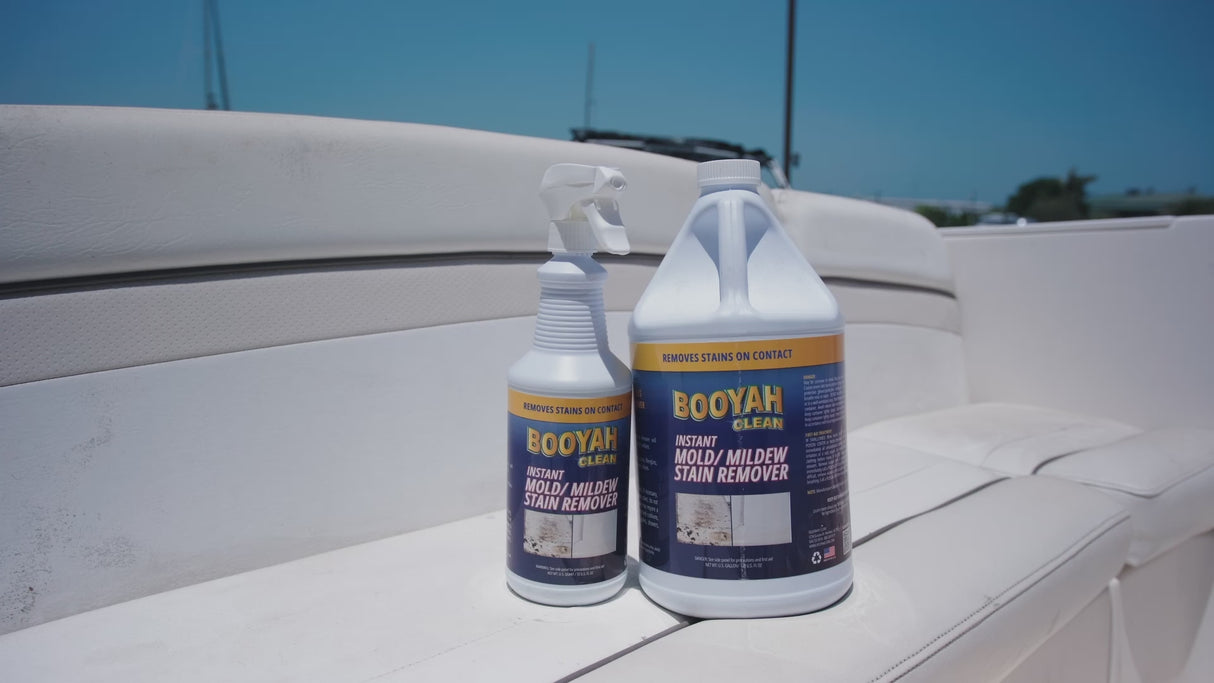 INSTANT MOLD/MILDEW STAIN REMOVER