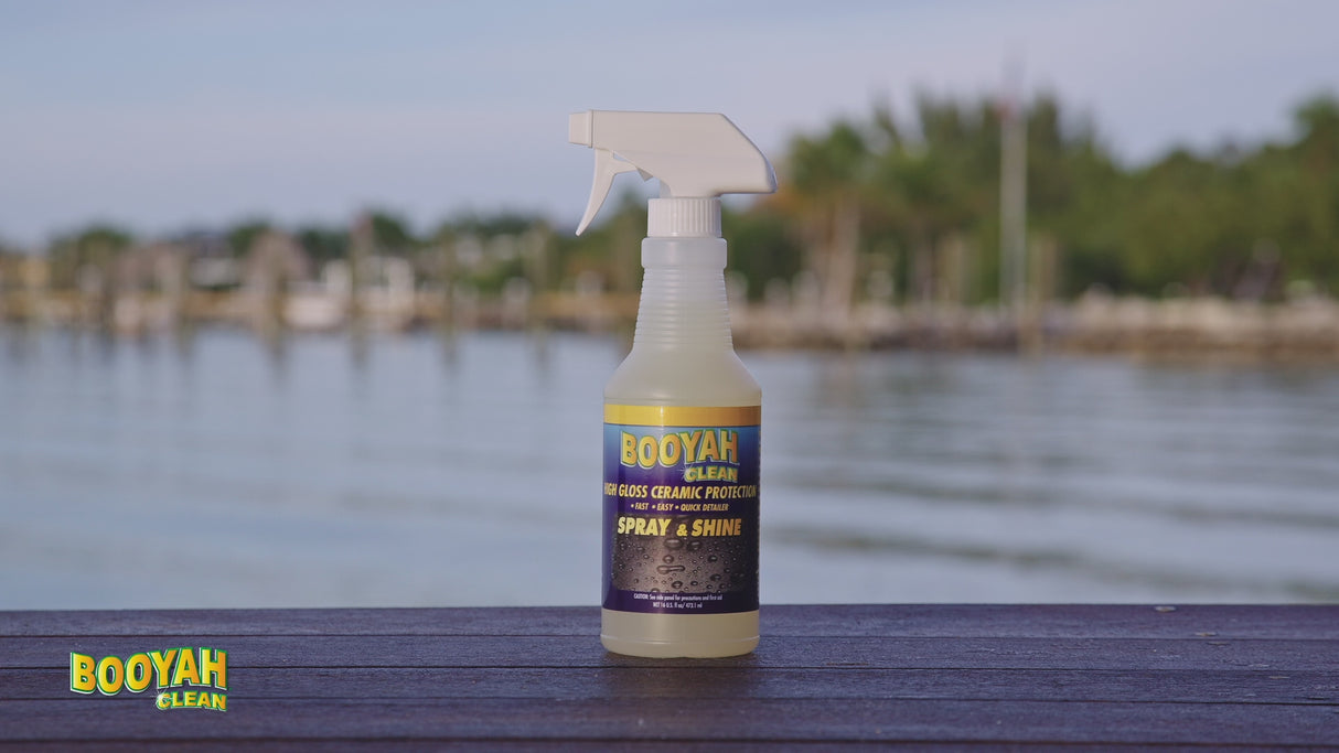 CERAMIC SPRAY & SHINE